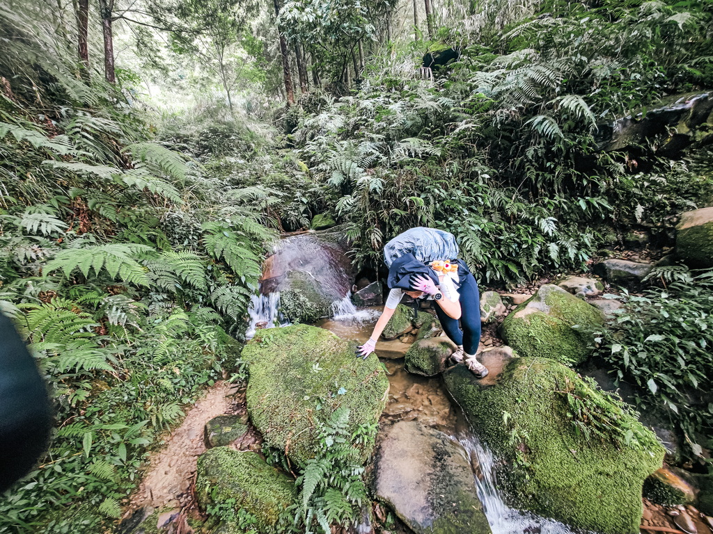 水漾森林
