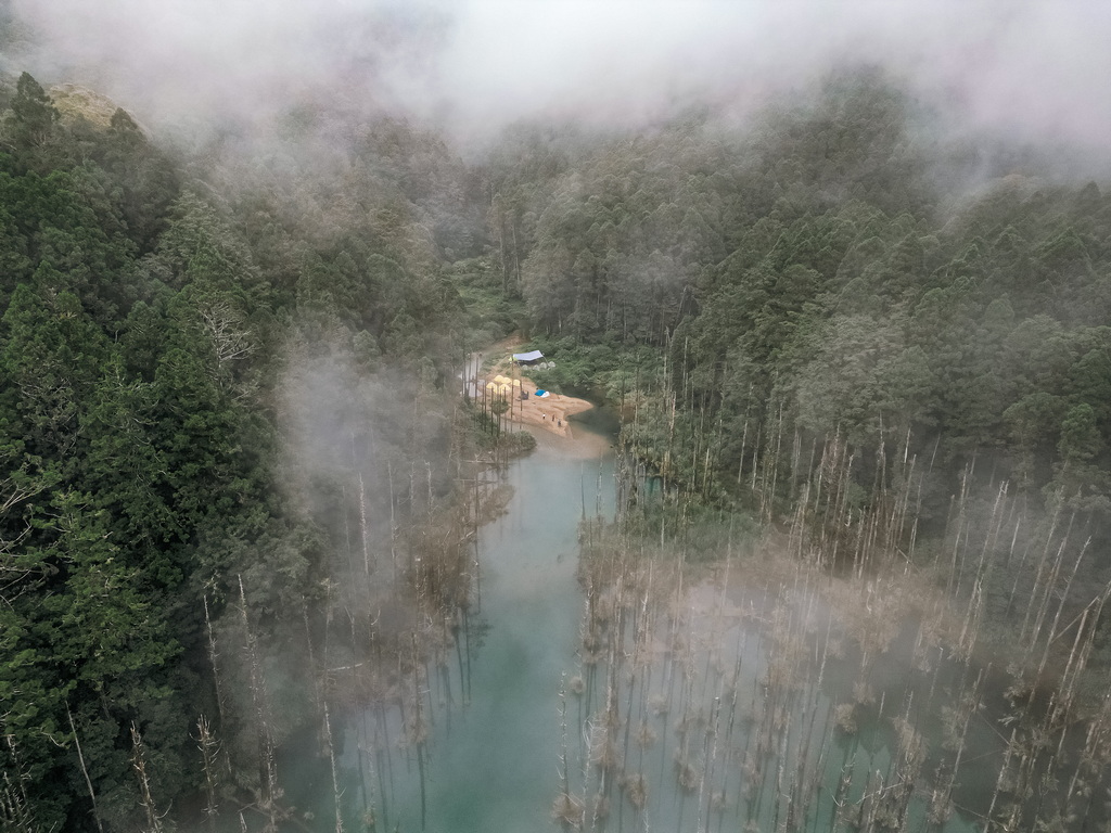 水漾森林