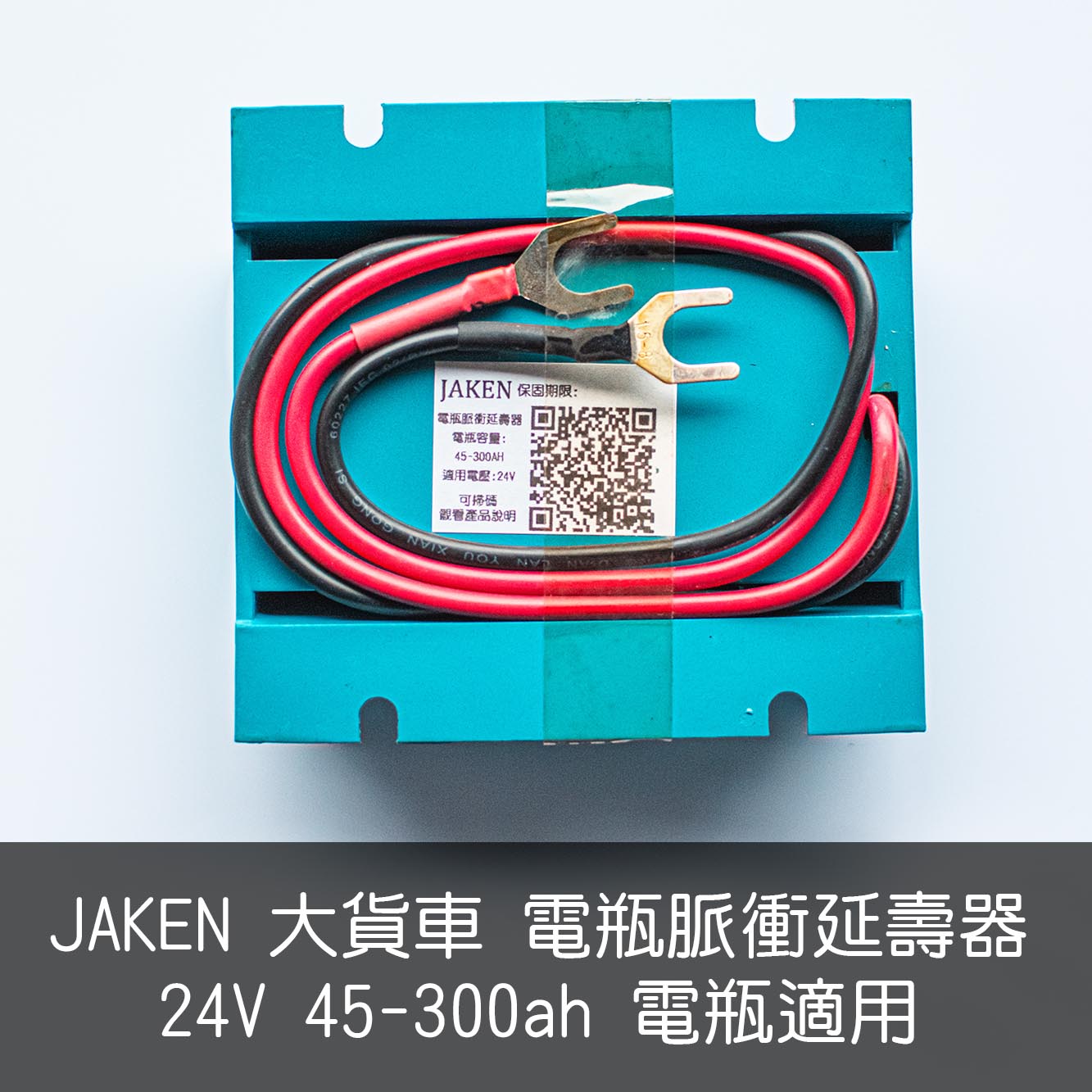 電瓶延壽器